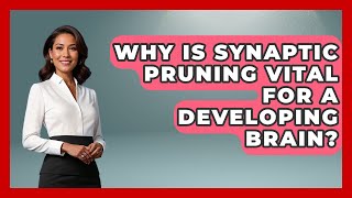 Why Is Synaptic Pruning Vital For A Developing Brain? - Brain Development Hub