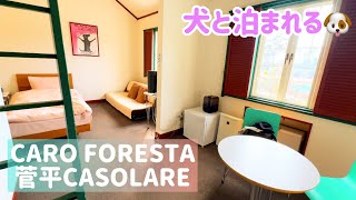 【ミニピン】CARO FORESTA菅平CASOLARE/大河3歳 ♂