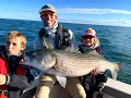 Mike Iaconelli Screaming! Huge Striped bass on Topwater