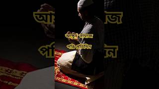 আসুন সবাই প্রতিদিন নামাজ পরি।#viral #trending #youtube #youtubeshorts #islam #islamicstatus