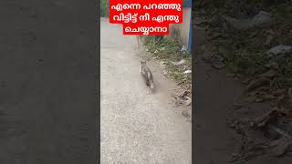 ആരുമില്ലാത്ത നേരത്ത് നീ അവിടെ എന്തു ചെയ്യുക