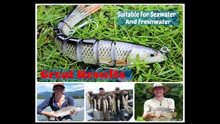 TRUSCEND Fishing Lures Multi Jointed Swimbaits - Why buy? - Deep  Review