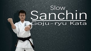Goju-ryu Kata Sanchin    (Slow）