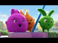 keep clean and enjoy sunny bunnies cartoons for kids wildbrain zoo