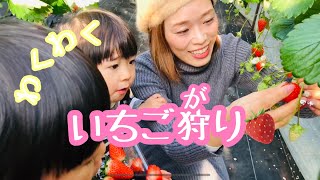 【🍓イチゴ狩り】大好きないちごを沢山食べたよ♪