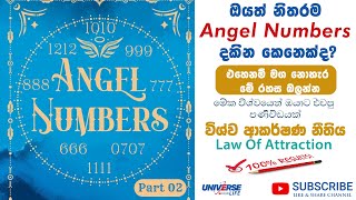 ඔයත් නිතරම Angel Numbers දකින කෙනෙක්ද! (Part 02) Law Of Attraction Sinhala @universelifeofficial