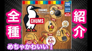 【CHUMS】めちゃかわいい！キャンプ道具　チャムス　ミニチュアマスコット4　～クッキング～　全種類紹介