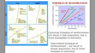 Learning Part 3 - Schedules of Reinforcement