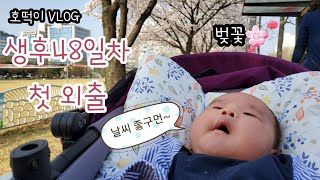 생후48일차 첫 외출👶 벚꽃 나들이 브이로그🌸 분당중앙공원🌸