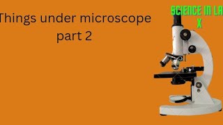 Things under microscope part 2