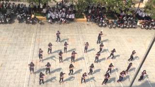 Flashmob THPT Gia Định 10D5 (2013-2016)