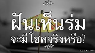 EP 37: ฝันเห็นร่ม ทำนายว่าอย่างไร เลขเด่น เป็นมงคล คืออะไร?!?