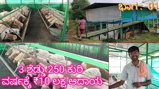 3 ಶೆಡ್ಡು 250 ಕುರಿ ವರ್ಷಕ್ಕೆ ₹10 ಲಕ್ಷ ಆದಾಯ || #ship  #goat #farm #farming #agriculture #farmer #krushi