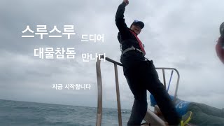 안녕, 빠가? 제주도 참돔 타이라바 이번시즌 드디어 첫 대물참돔을 보았다 (with.나폴리호) 우린 결국 만날 운명이었어