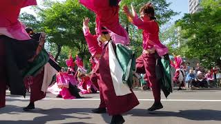 【弘前大学HIRODAI焔舞陣】2019.06.08 大通り南コースパレード YOSAKOIソーラン祭り