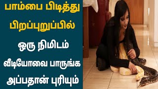 இணையத்தில் கோடி பேர் பார்த்த வீடியோ | பாம்பை பிடித்து பிறப்புறுப்பில்..! வீடியோவை பாருங்க ஷாக்