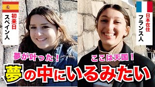 「日本には絶対に行きたいと思っていた！」外国人観光客にインタビュー｜ようこそ日本へ！Welcome to Japan!