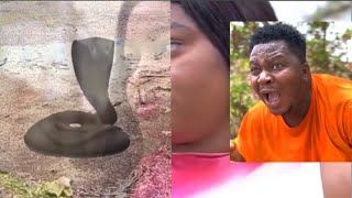 Broda Solo | The snake girl | Laugh