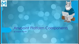 MuleSoft's Anypoint Platform Components