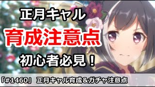 【プリコネ】初心者必見！正月キャルの育成＆ガチャの注意点を解説【プリンセスコネクト！】