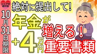 令和6年(2024年)10月31日期限！申請すると年金の手取が+4万円も増える！？提出しないと年金の手取で大損する令和7年度分扶養親族等申告書。提出した場合としなかった場合を徹底解説！