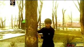 Zarifi Nemat - Bevafo