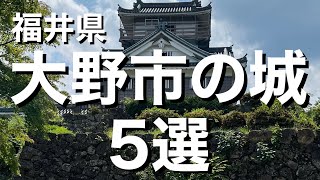 【城選＋】［福井県 大野市の城］〜5選〜