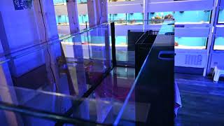 360 Gallon Reef Aquarium, Six Foot reef aquarium and 3 foot reef aquarium dual Tank Preview Part 1