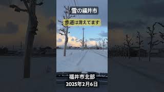 「雪の福井市」この冬一番の寒波で、日に日に雪が増えてます。高校は休校となってますが、小学校は再開された様です。主要幹線道路も事故以外は通行止めは解除。福井市 北部。2025年2月6日。