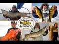 The Fishing Doctors Adventures Highlights