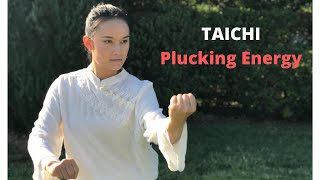 太极（八法五步5）Tai Chi for beginners- EP05: Plucking Energy (Step by Step)