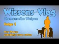 WissensVLOG - Welpen Folge 1 - was Welpen unbedingt lernen sollten