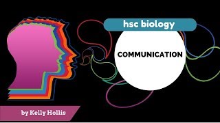 Communication 9.5.4.i \u0026 ii - Photoreceptors of the Retina (rods \u0026 cones)