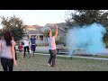 baseball baby gender reveal