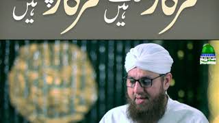 Sarkar Khilatay Hain Sarkar Pilatay Hain (Short Clip) Maulana Abdul Habib Attari