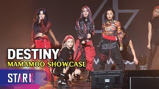 Sub Song 'Destiny', MAMAMOO SHOWCASE ('퀸덤' 우승곡, 마마무 '우린 결국 다시 만날 운명이었지')