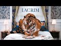 Lacrim - Kounti feat Cheb Mami [PAROLES]