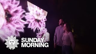 Art and data converge in Arizona's Sonoran Desert