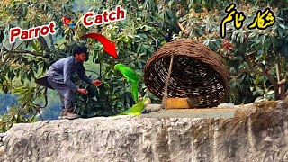 Parrot Catch Alhumdulilla New Entry in Pets House_MB Vlogs