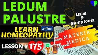 Ledum palustre Uses And Symptoms | Homeopathy Treatment