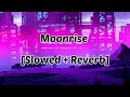 Moonrise Lofi - [Slowed + Reverb] - Atif Aslam - Feel.The.Music