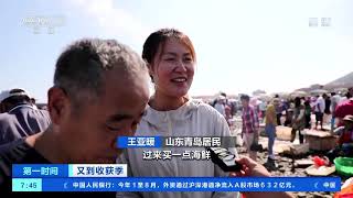 [第一时间]又到收获季 山东青岛：开渔第一网 渔民满载而归|CCTV财经