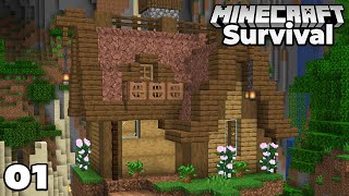 Let's Play Minecraft Survival : Awesome New Adventure! Episode 1
