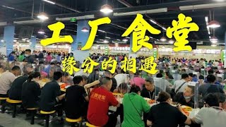 深圳美国企业工厂招工，小伙进厂后，漂亮厂妹都不顾，就知道吃