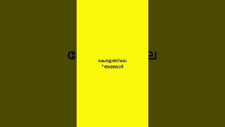 💺നിങ്ങളുടെ വീട്ടിലെ കസേരക്കും അമ്മയുടെ കയ്യിൽ👊 നിന്ന് 🤪കിട്ടിയിട്ടുണ്ടാവും 🤣#mom shorts comady😂