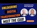 What is the role of a CDO? Practical examples how to get useful insights from data