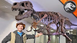 Jurassic World Explorers: WORLD’S BIGGEST T-REX! | Jurassic World