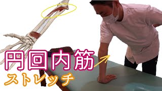 円回内筋のストレッチ