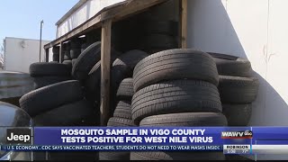 West Nile Virus is in Vigo County; here is how to prevent its spread