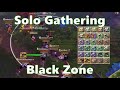 Solo Gathering Black Zone Vol.124 - Albion Online